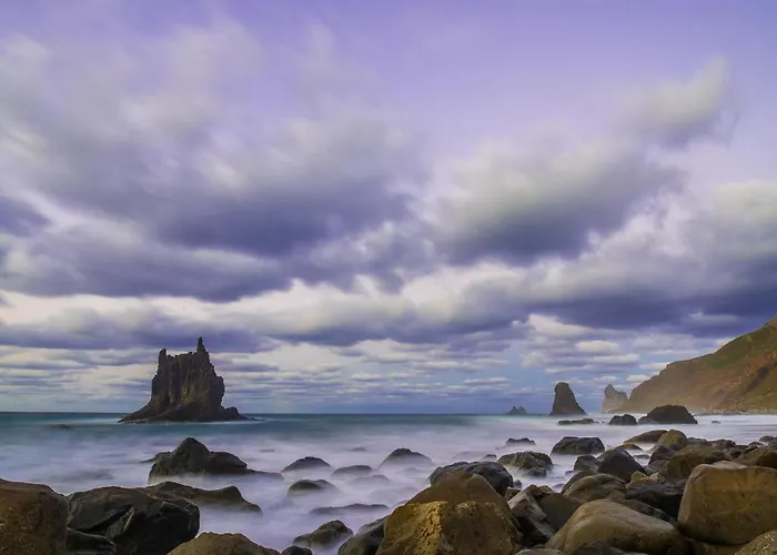 Cactus Cosy Loft, Wifi & Gym *